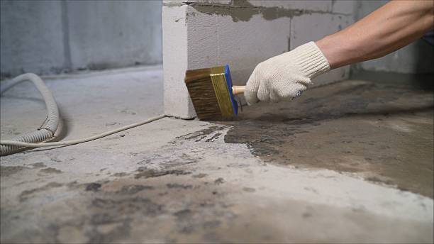 SJ Waterproofing Pros Waterproofing coverage map for Sneedville, TN and surrounding area